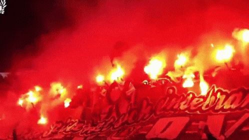 Stade de foot